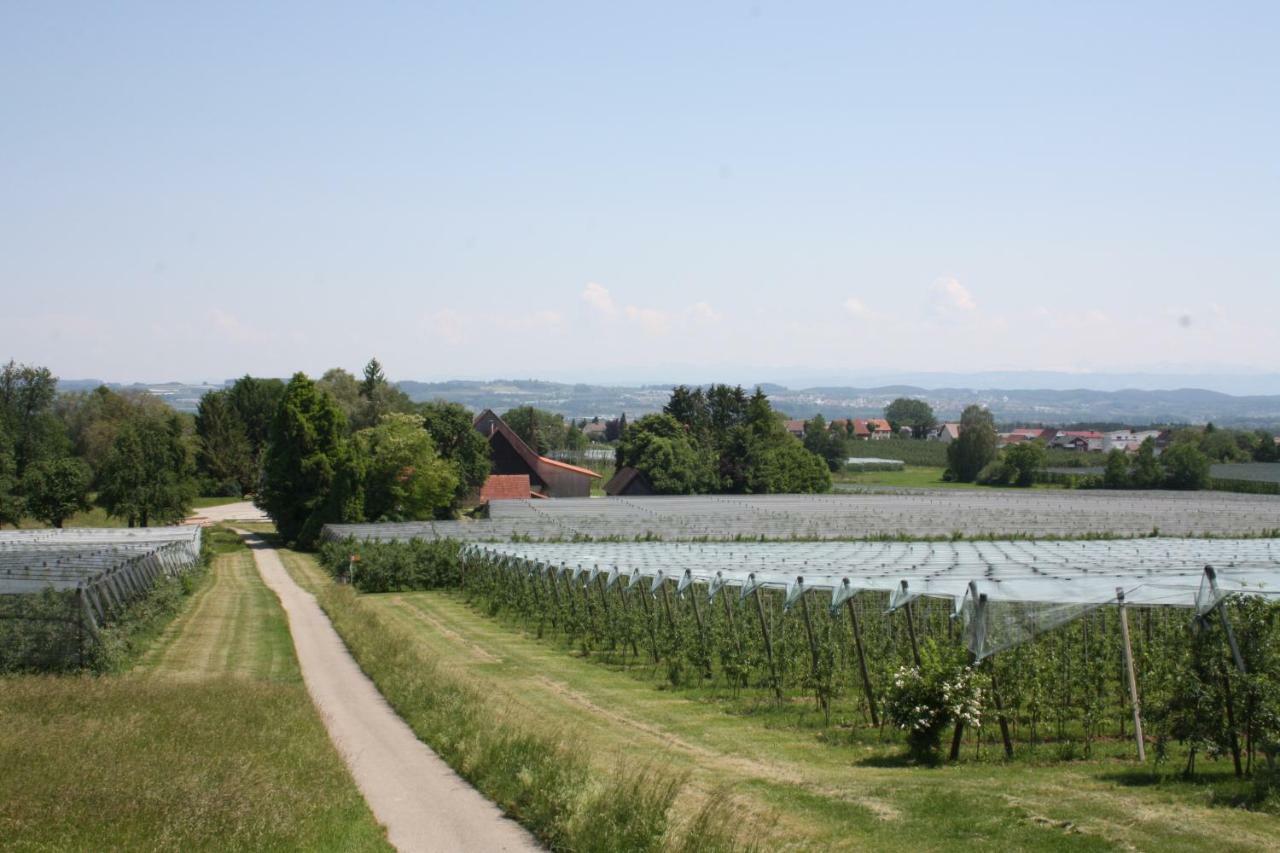 Appartamento Hof Schuetterle FDH Esterno foto